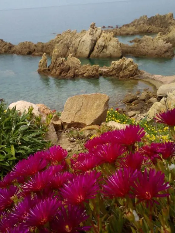 Hébergement de vacances Costa Paradiso Villaggio Tamerici